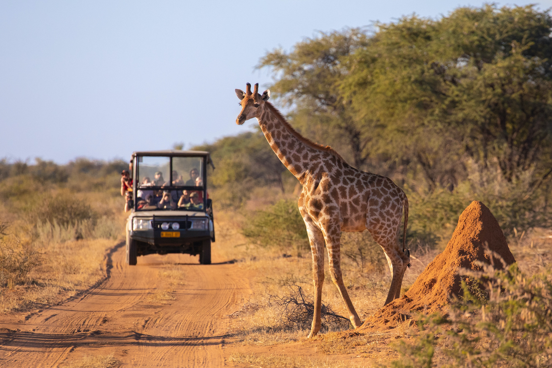 7 Day Safari Tanzania • 4x4 Adventures Off Road
